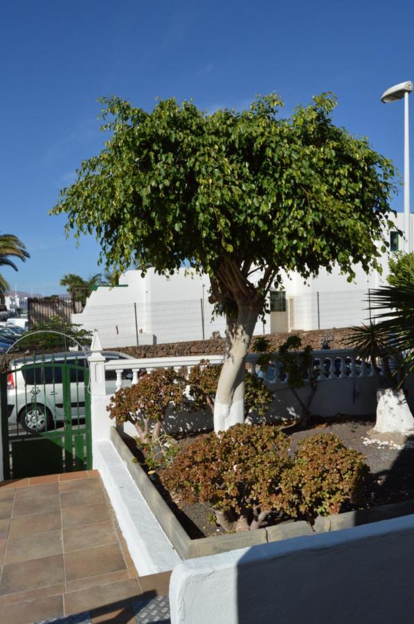 Lava Teneguia, 5 Guests In 2 Bedrooms Πουέρτο Ντελ Κάρμεν Εξωτερικό φωτογραφία